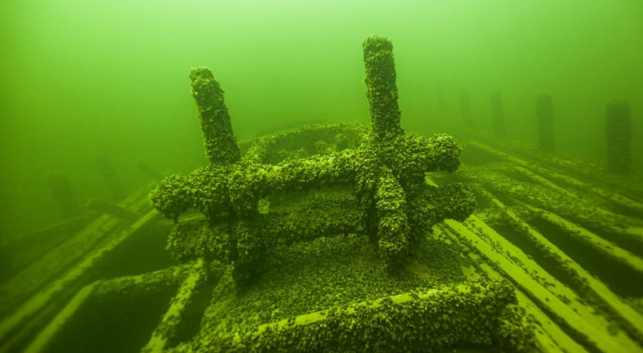 Baltic Sea underwater