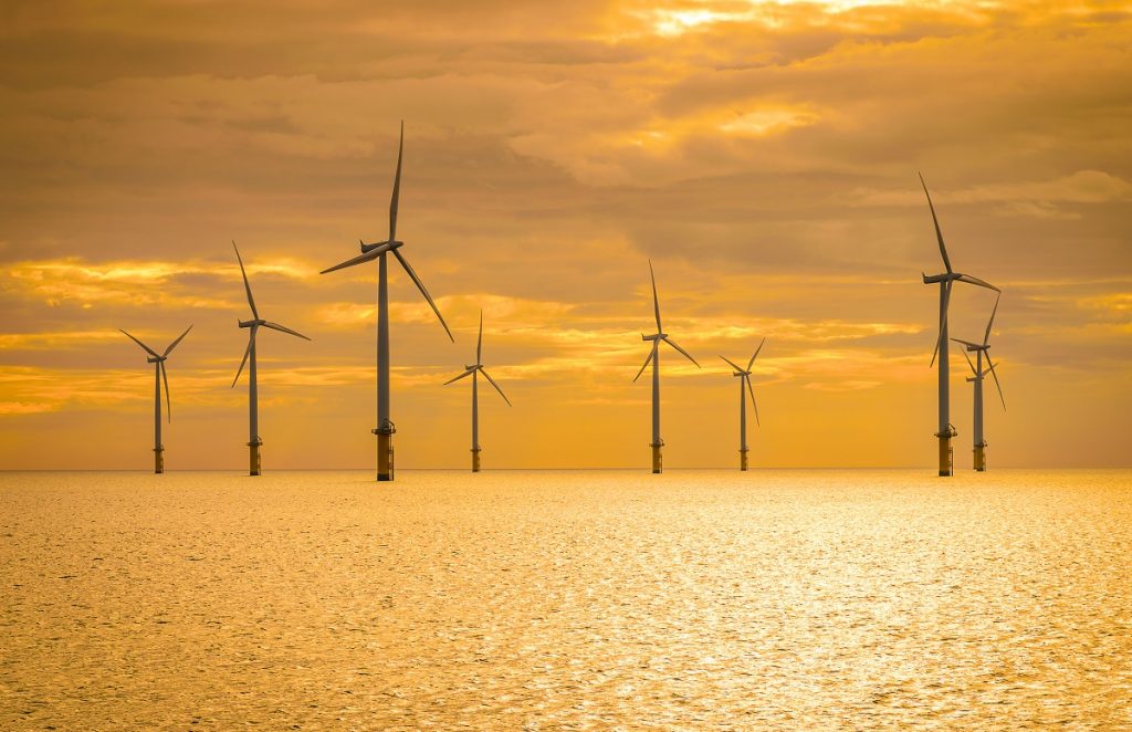 wind farm